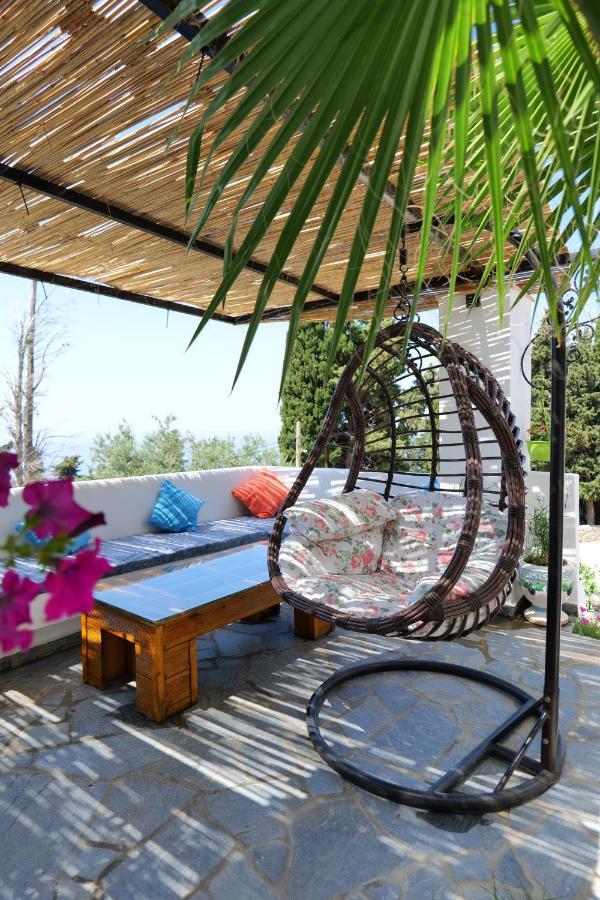 Vila Panorama Piqeras B&B 외부 사진