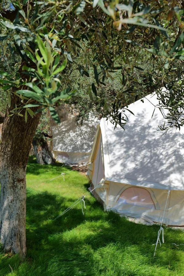 Vila Panorama Piqeras B&B 외부 사진